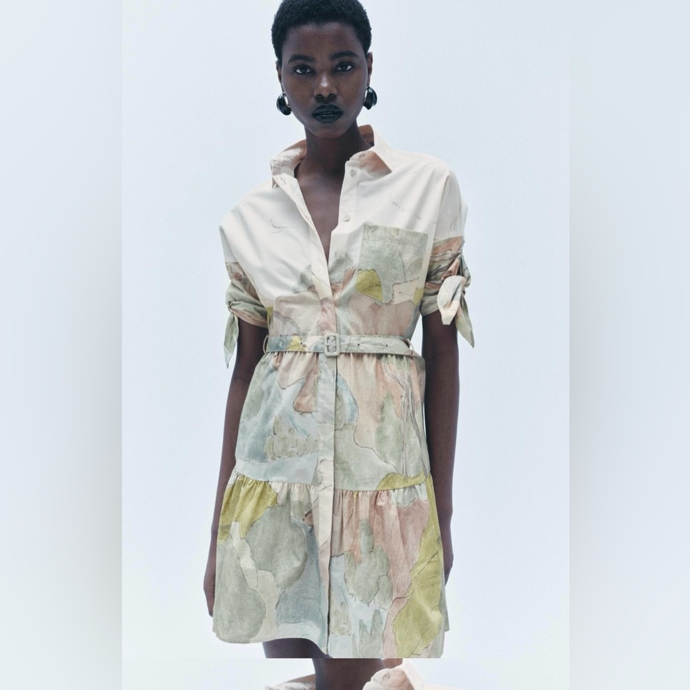 BNWT Zara ZW Collection Printed Mini Dress